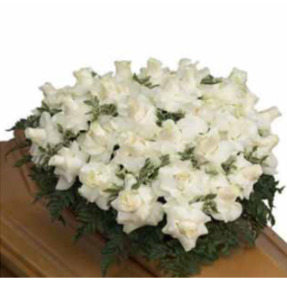 CUORE DI SPUGNA ROSE BIANCHE