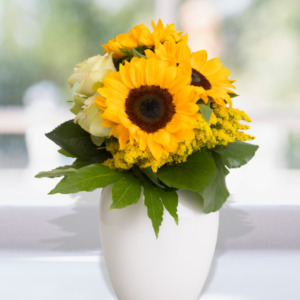 Composizioni girasoli